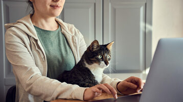 Company survey: What are the best skills for remote work?