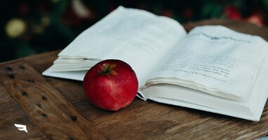 Spark Interview: A Social Media Fairy Tale.