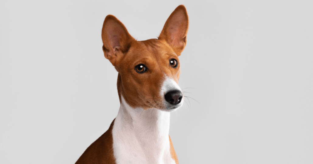 Brand loyalty: Why it matters and how to get it