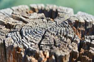 Evergreen Content Ideas: The Complete List For Your Blog