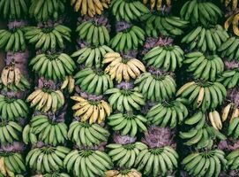 How experimentation and feature management are the keys to your PLG bundling success