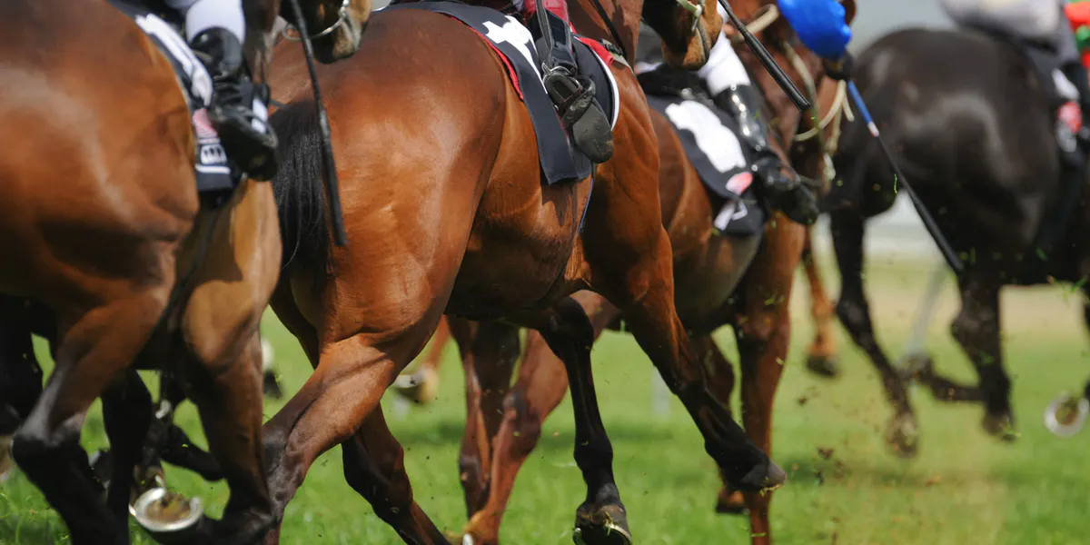 Queensland Racing Integrity Commission (QRIC) - Meltwater Customer Story