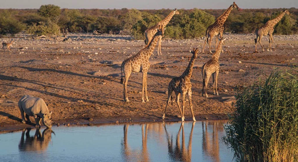 Best CRM Software in South Africa