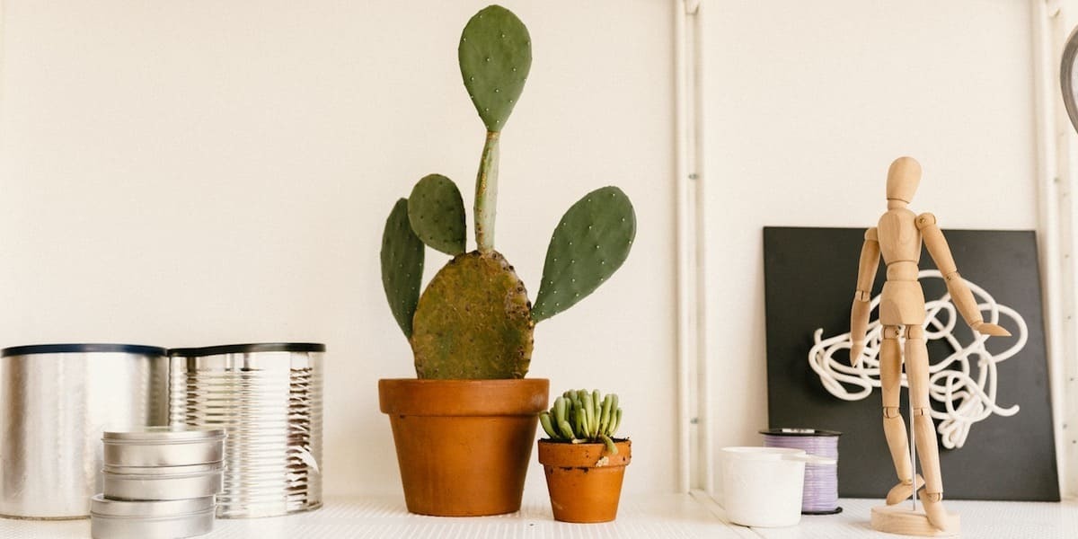 The Anatomy of a Shopify Product Page That Makes Purchases Roll In