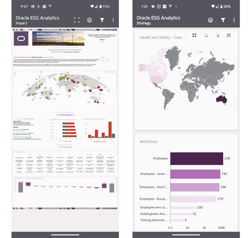 Oracle Fusion Analytics Implementation Series: Customization