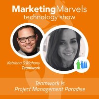 Teamwork Is Project Management Paradise
