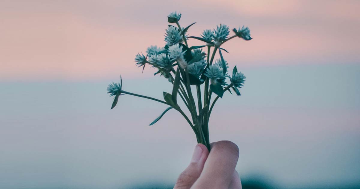 Sitecore Headless: What's New