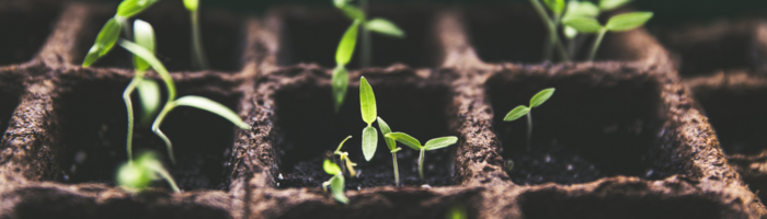 Good Growth Leaders are Unicorns: Here's How To Find Them