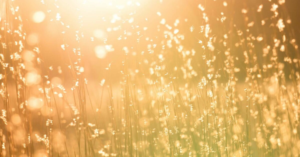 Prospect like a gold-seeker + 4 more tips for optimizing your outbound sales process