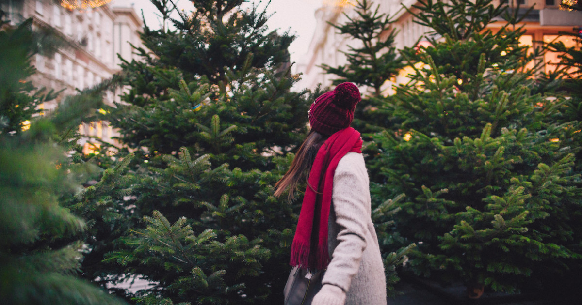 Deck the Halls with Square's Christmas Tree Calculator [TOOL]