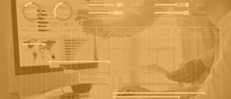 Professional Services and Customer Success in SaaS Startups