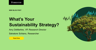 What's Your Sustainability Strategy?