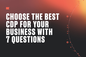 No unitaskers allowed: 7 questions to help you choose the best customer data platform (CDP) for your business