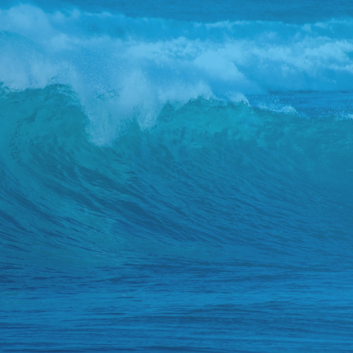 LEVERAGING SEO TO BOOST CONVERSIONS