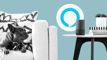 When Crowdsourced Answers Work Best - And When They Don't