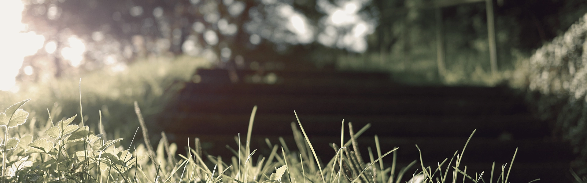 Best Doctype For HTML Emails - Which Should We Use? (Updated)