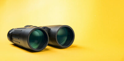 Innovations in Search and Social [June 2022] - Basis Technologies