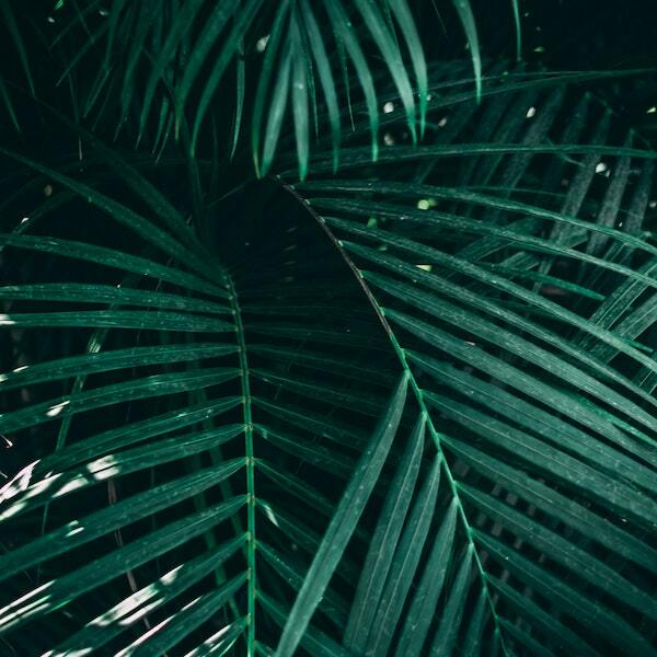 Staying customer obsessed in rapidly changing times