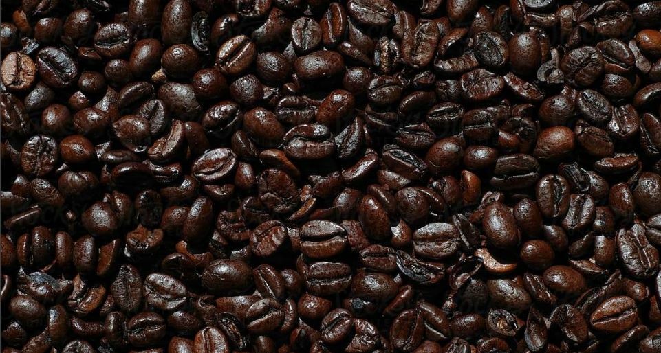 In stable conditions, there's no reason for a species to change