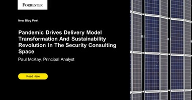 COVID-19 Drives Delivery Model Transformation And A Sustainability Revolution In The Security Consulting Space