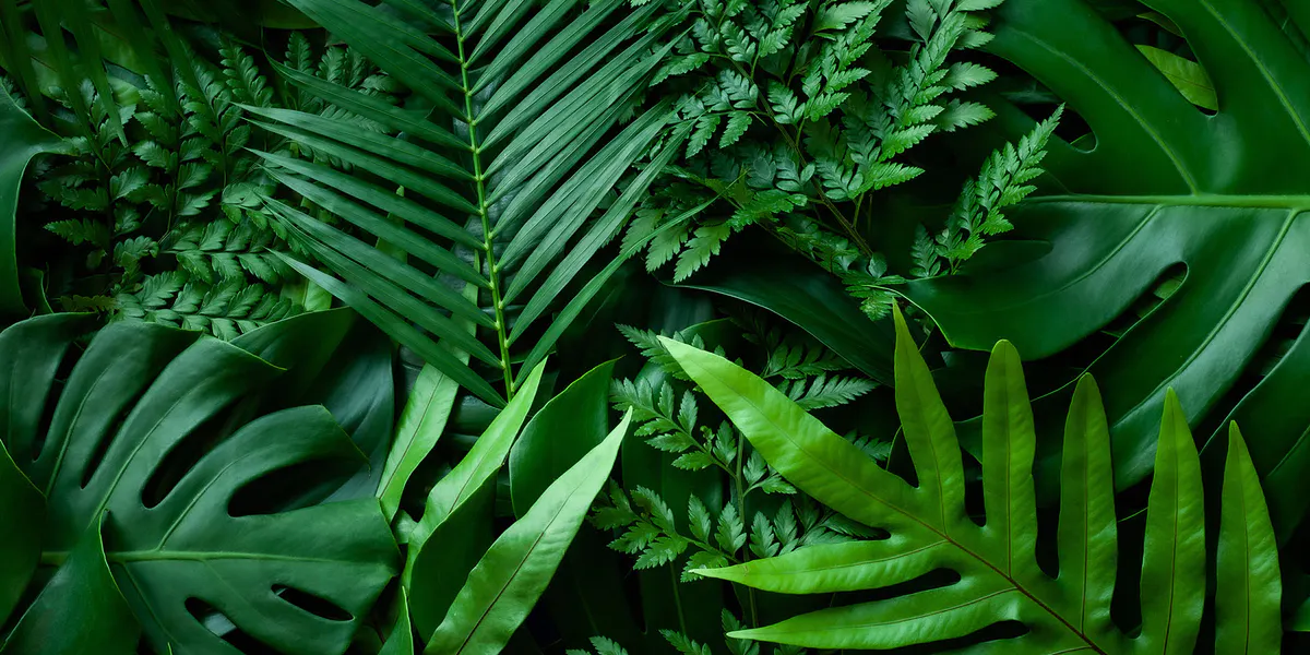 How to Integrate Corporate Social Responsibility