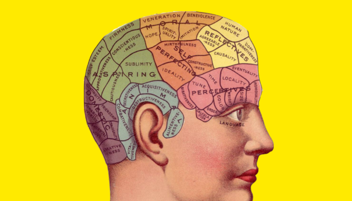 Neuro-linguistic Programming -- A Pseudoscience That Can Actually Help You (a bit) In Sales