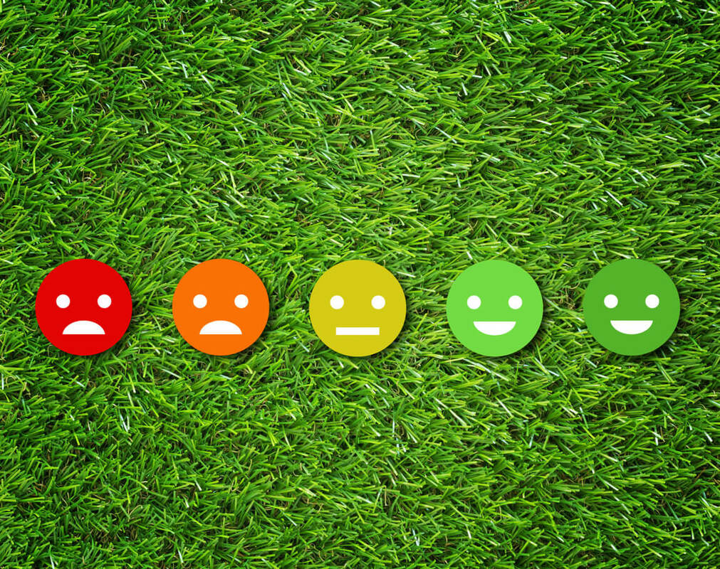 Is customer experience a differentiator or detractor for your brand?