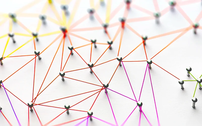 Why understanding your client organization is so important - Workbooks CRM