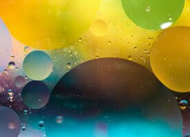 184 Best Instagram Bio Ideas, Examples & Templates