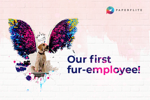 Our First Fur-Employee!