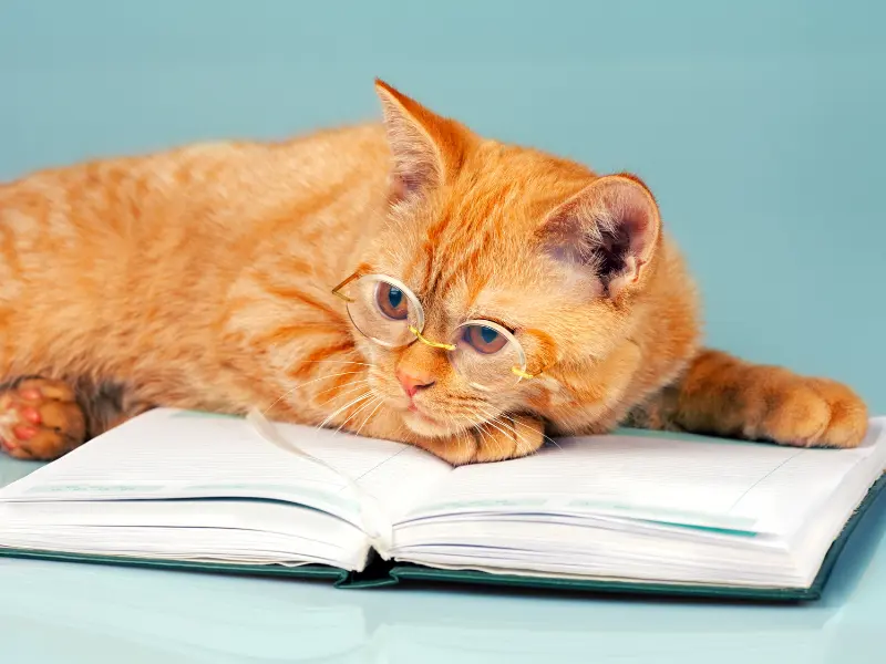 7 Tips to Send Personalized Sales Emails that Convert