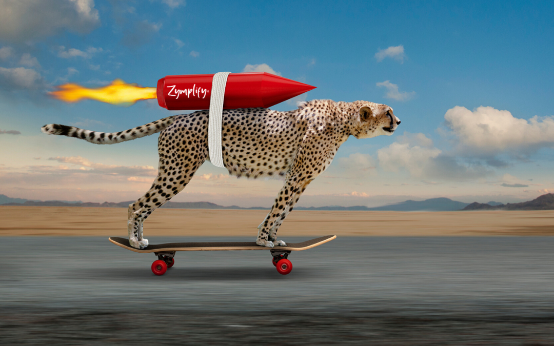 Marketing: Nevermind Doing It Right vs Fast – do Both | Zymplify