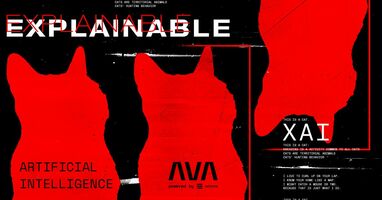 XAI: Explainable Artificial Intelligence