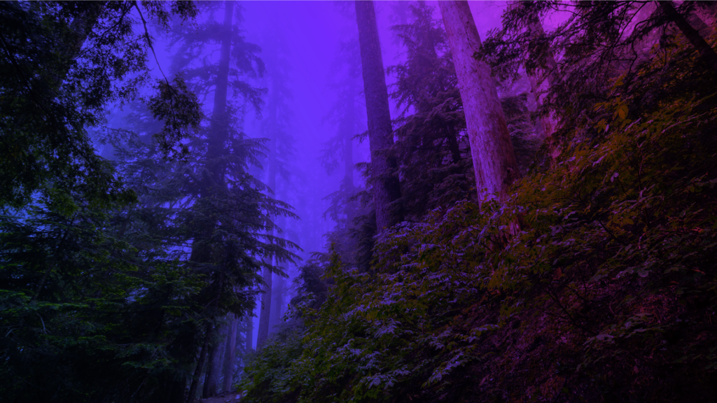 Brand Futures: Portland, 2023 