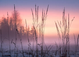 47 Creative February Marketing Ideas (Beyond Valentine's Day!)