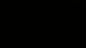 Zoholics in 2020 (February – June): Bigger and better 