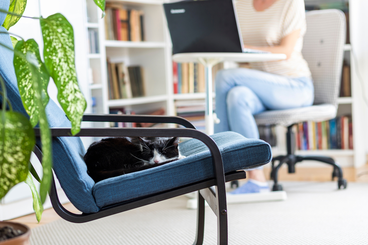 Keeping Your People Connected And Productive While Working Remotely