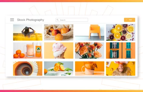 What is Digital Asset Management? The Ultimate Guide to DAM
