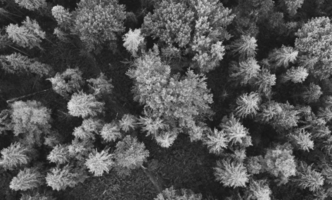 The Complete Guide to Investor Reporting and Updates