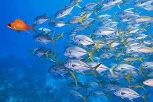 Eight Ways to Reach and Engage Industry Influencers | Nimble Blog