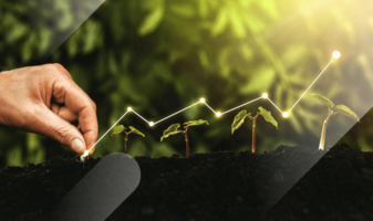 5 Proven Ways to Increase Your Market Share (With Examples)