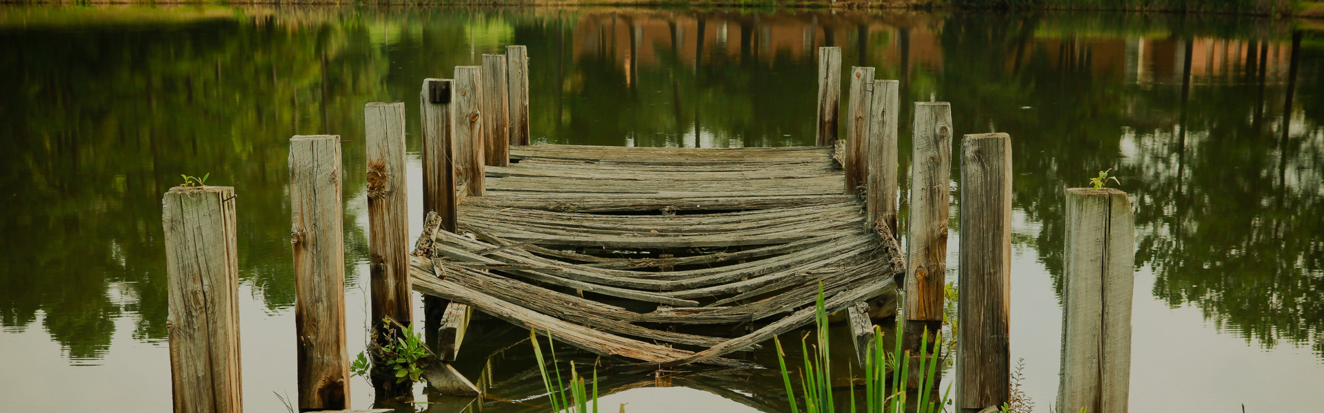 The Why, What and How of Images Not Appearing in Gmail