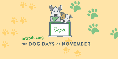 Sigstr Company Culture - Dog Days of November Recap