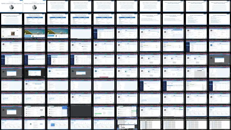 Nimble Customer Manager 7/21