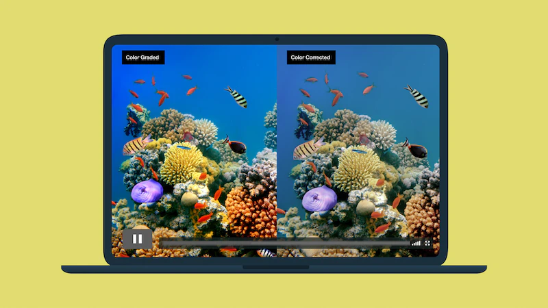 Color grading vs. color correction, explained (+ video tutorial)