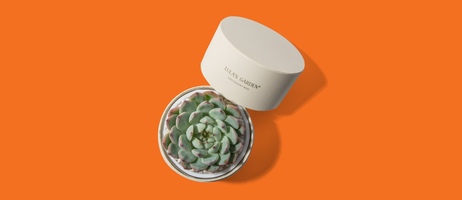 9 Gifts to Send This Holiday Season that Support a Worthy Cause 