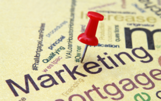 Marketing 101: Marketing Basics Every Marketer Needs to Know