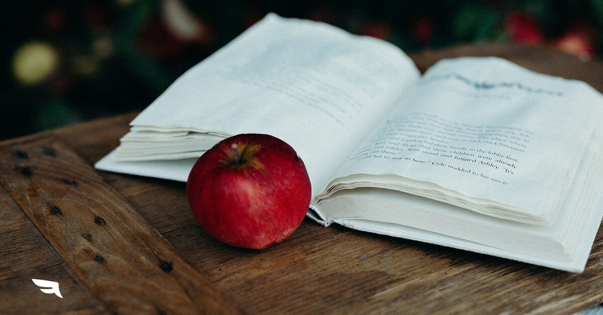 Spark Interview: A Social Media Fairy Tale.