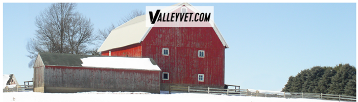 Valley Vet