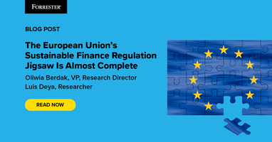 The European Union's Sustainable Finance Regulation Jigsaw Is Almost Complete